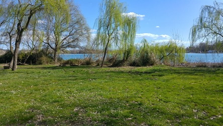 S’estan executant les obres de reforma del paratge dels Desmais a l’Estany